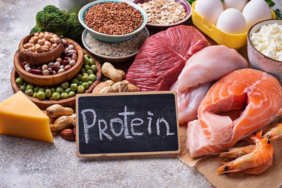 فوائد البروتين للجسم